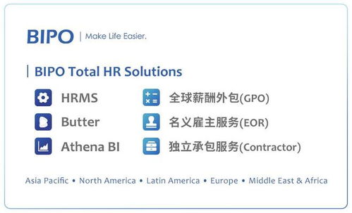 BIPO全球薪酬外包服務(wù) 薪酬系統(tǒng)與財(cái)務(wù)軟件一體化集成解決方案